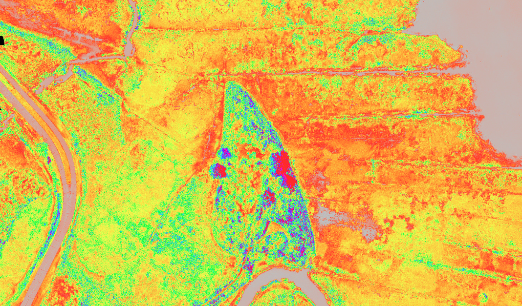 Data Processing & Analysis - Whiteout Solutions