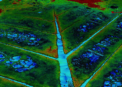 Top view of Barn Island point cloud with DTM