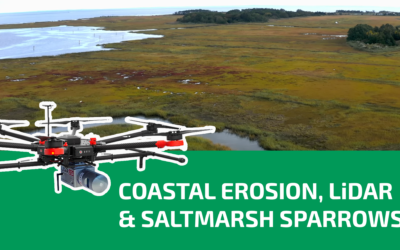 Coastal Erosion, LiDAR & The Saltmarsh Sparrows