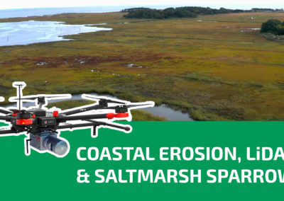 Coastal Erosion, LiDAR & The Saltmarsh Sparrows